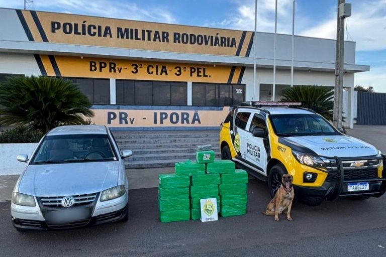 Apreensão de maconha na PR-323, em Cafezal do Sul. Na foto, a droga apreendida ao lado de viaturas e do cão de faro que participou da ação.