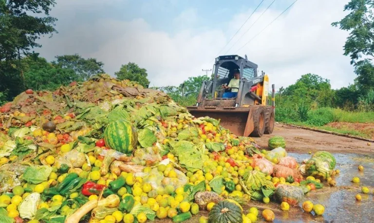 Alimentos Nos Lixo