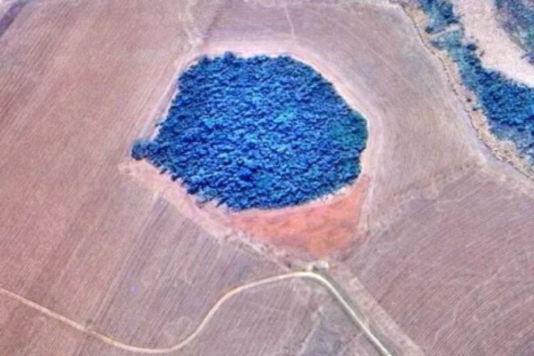 Desmatamento De Vegetação Em Mariluz