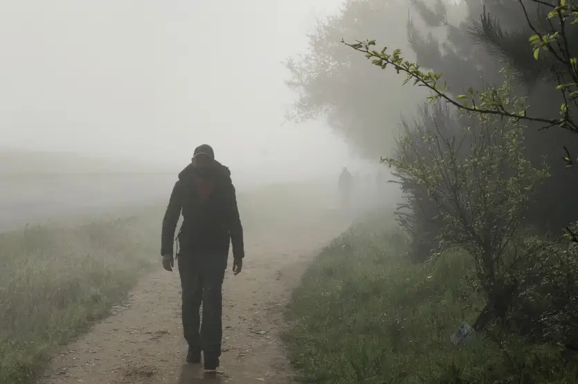 Livro Escritor Umuarama (4)