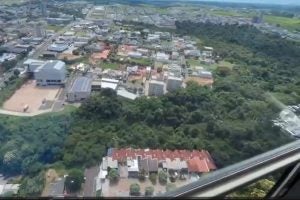 Mata onde a onça está: a presença de outros animais na mata tem dificultado a captura.