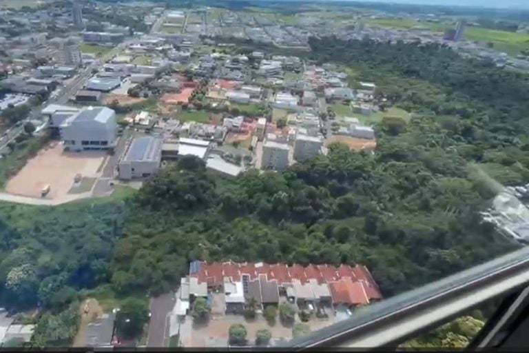 Mata onde a onça está: a presença de outros animais na mata tem dificultado a captura.