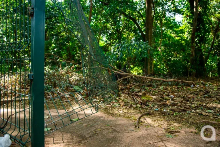 Moto é Localizada No Bosque Do índio