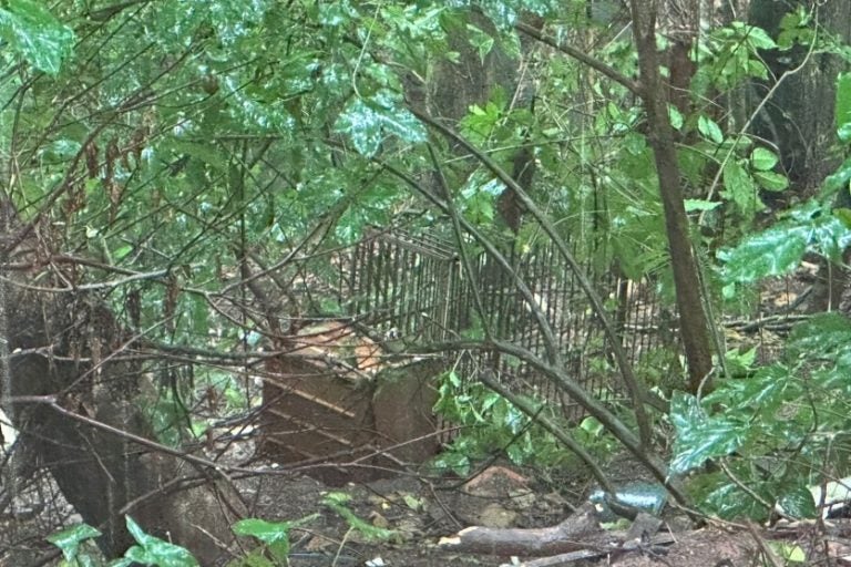 Armadilha montada perto da casa onde a onça foi vista em Umuarama.Armadilha montada perto da casa onde a onça foi vista em Umuarama