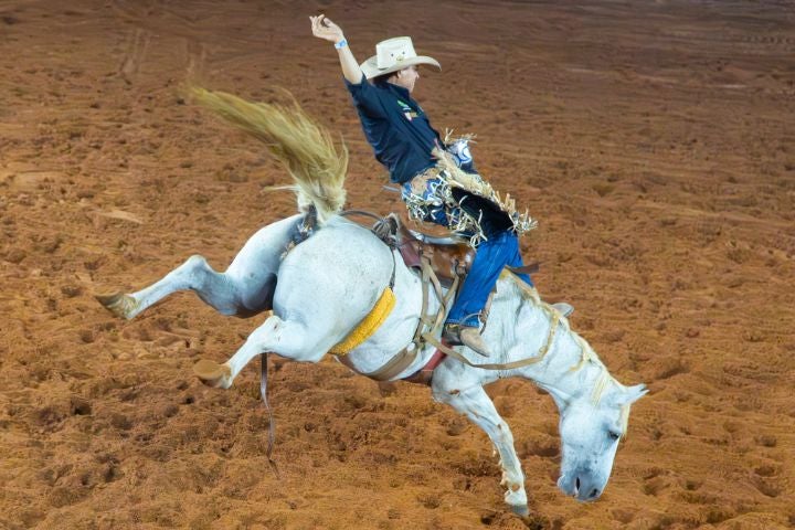 Rodeio Da Expo Umuarama Obemdito 1