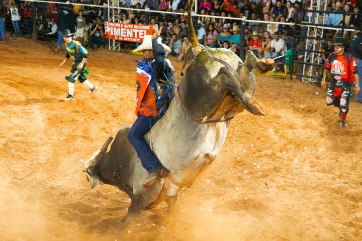 Rodeio Da Expo Umuarama Obemdito 2