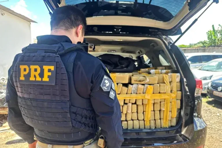 Uma Tonelada De Maconha Apreendida Pela Prf