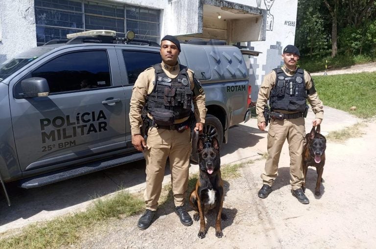 No último dia 24 de março, os cães de faro do Canil do 25º Batalhão de Polícia Militar (25º BPM) com sede em Umuarama passaram por uma certificação de detecção, conforme os padrões do Sistema de Manutenção de Cães da Polícia Militar do Paraná (PMPR).