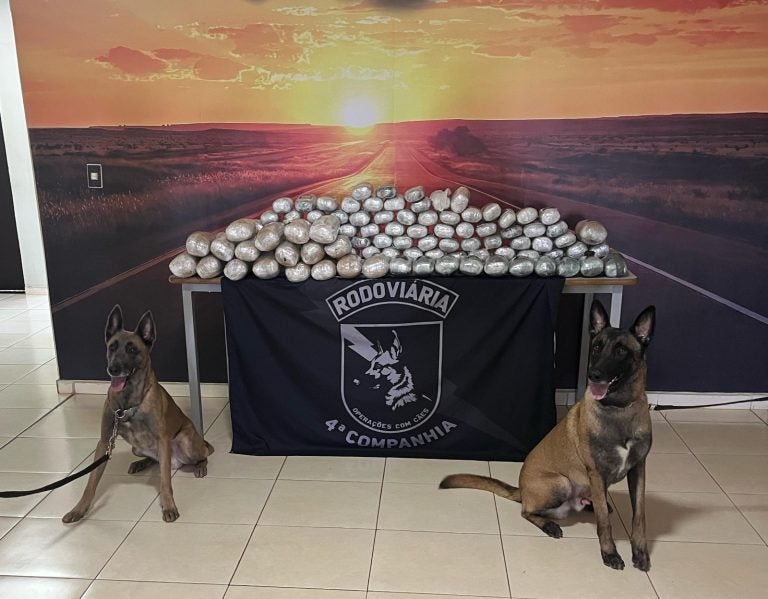 Uma operação da Polícia Rodoviária do Paraná resultou na apreensão de 84 kg de haxixe e na prisão de um casal de origem paraguaia na PR-323, nesta quarta-feira (26), por volta das 12h