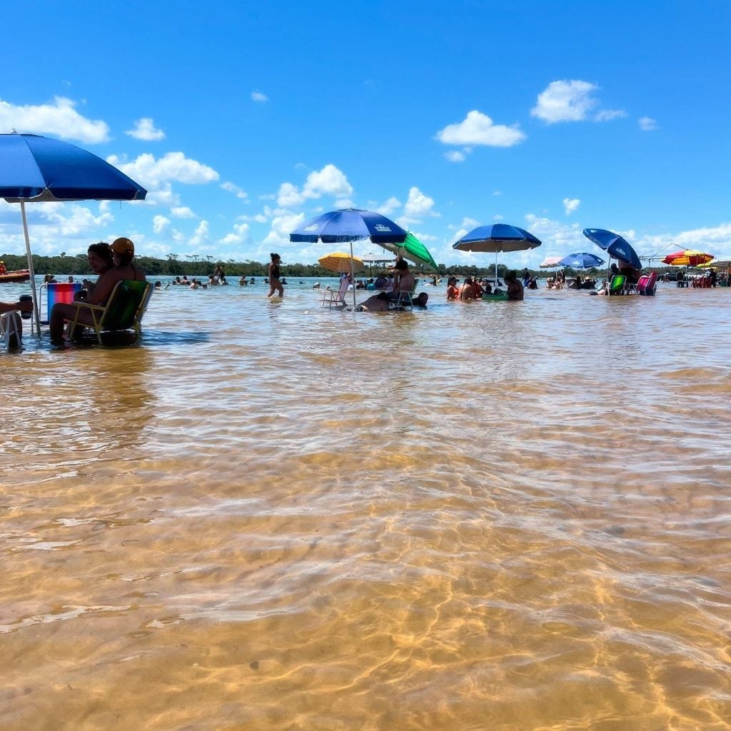 481718225 18106209184486888 1677906646185735846 N