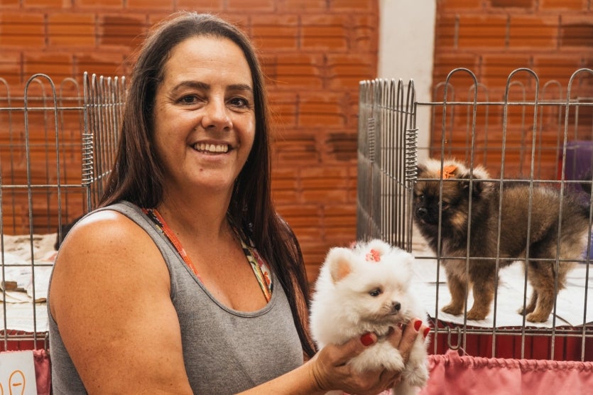 Expo Umuarama Exposição Tem Casinhas Com Abelhas Produzindo (7)