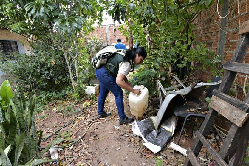 Índice De Infestação Por Mosquito Da Dengue Sobe Em Umuarama (2)