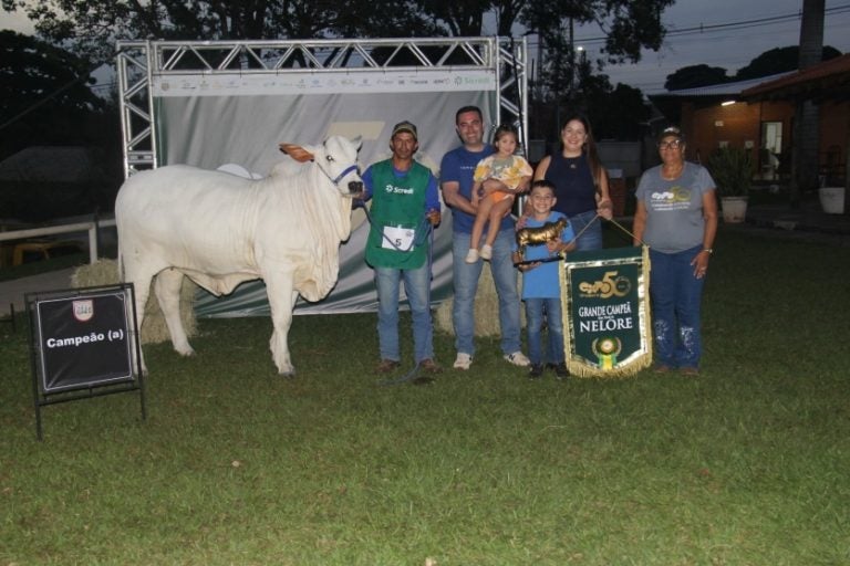 Nelore: o título de ‘Grande Campeão’ foi para o touro Mustang