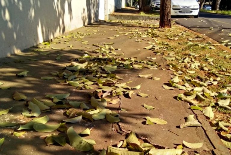 Outono Terá Temperaturas Mais Amenas E Chuva Abaixo Da Média