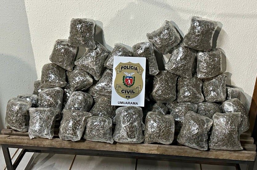 Pcpr Apreende 31 Kg De Skunk Em Carro Abandonado Na Pr 323 (1)