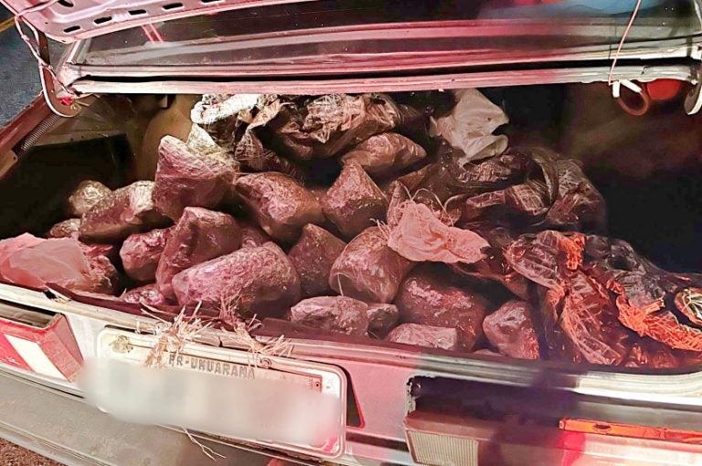 Pcpr Apreende 31 Kg De Skunk Em Carro Abandonado Na Pr 323 (4)