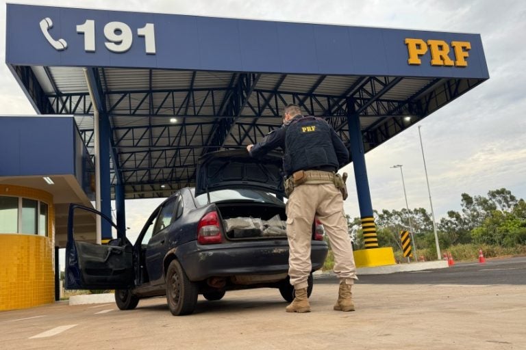PRF: o foco das apreensões é a maconha, que representa a maior parte dos entorpecentes apreendidos.