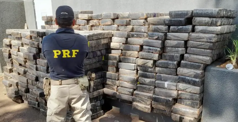 Prf Apreende Mais De 5 Toneladas De Maconha Em Carreta