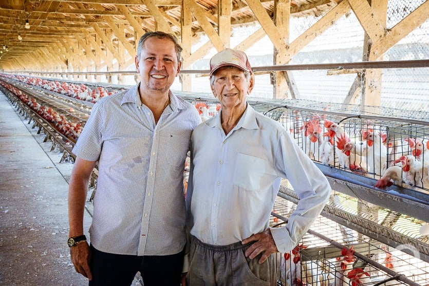 Produção De Ovos De Granja Local Chega A 500 Mil Unidadesmês (10)