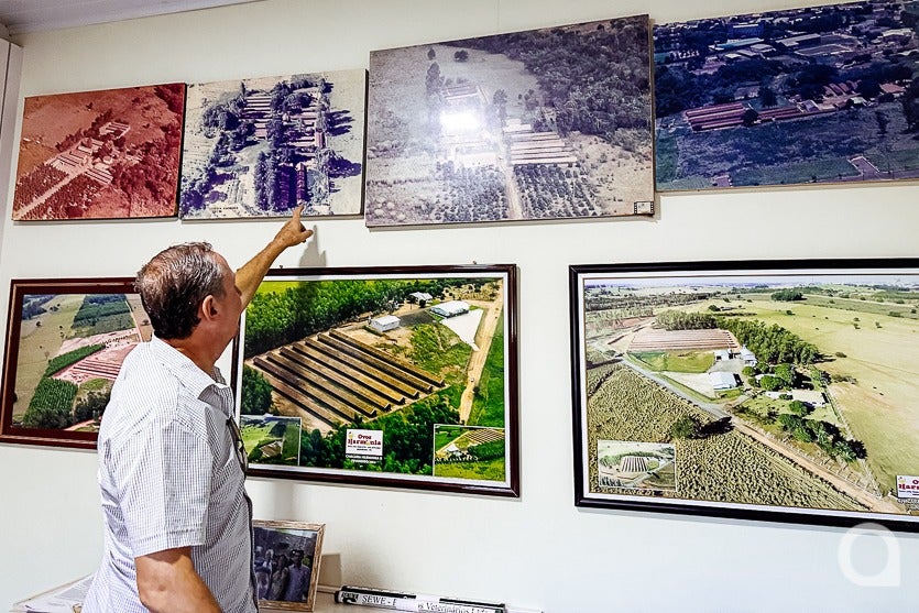 Produção De Ovos De Granja Local Chega A 500 Mil Unidadesmês (3)