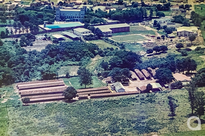 Produção De Ovos De Granja Local Chega A 500 Mil Unidadesmês (5)