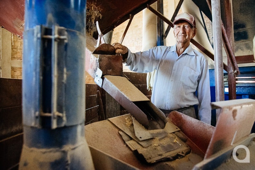 Produção De Ovos De Granja Local Chega A 500 Mil Unidadesmês (7)