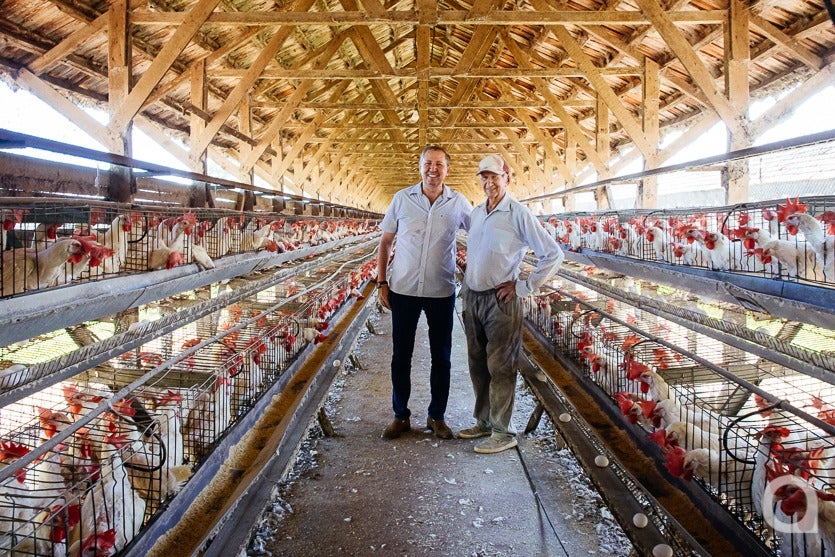 Produção De Ovos De Granja Local Chega A 500 Mil Unidadesmês (9)