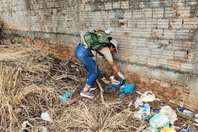 Boletim da dengue em Umuarama mostra 11 novas confirmações.