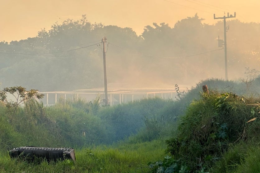 Whatsapp Image 2025 03 07 At 07.02.39