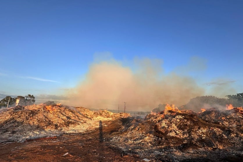 Whatsapp Image 2025 03 07 At 07.02.41