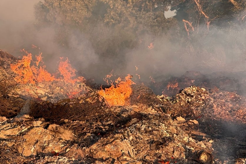 Whatsapp Image 2025 03 07 At 07.02.42