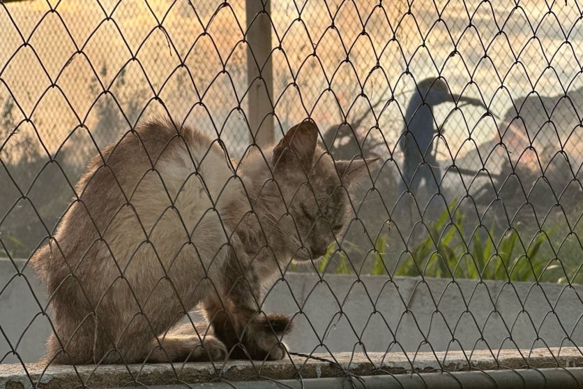 Whatsapp Image 2025 03 07 At 07.33.37