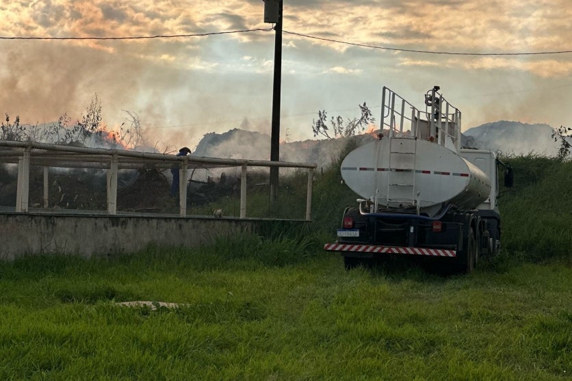 Fogo no aterro sanitário de Umuarama ficou próximo de canil com mais de mil animais..