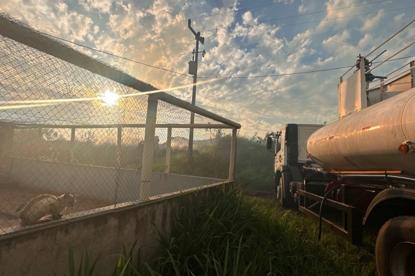 Fogo no aterro sanitário de Umuarama ficou próximo de canil com mais de mil animais..