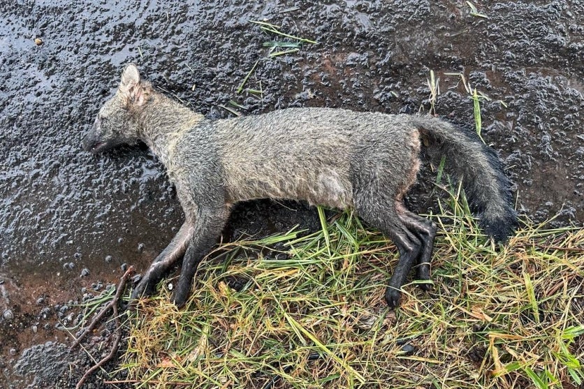 Whatsapp Image 2025 03 11 At 14.45.30 (1)