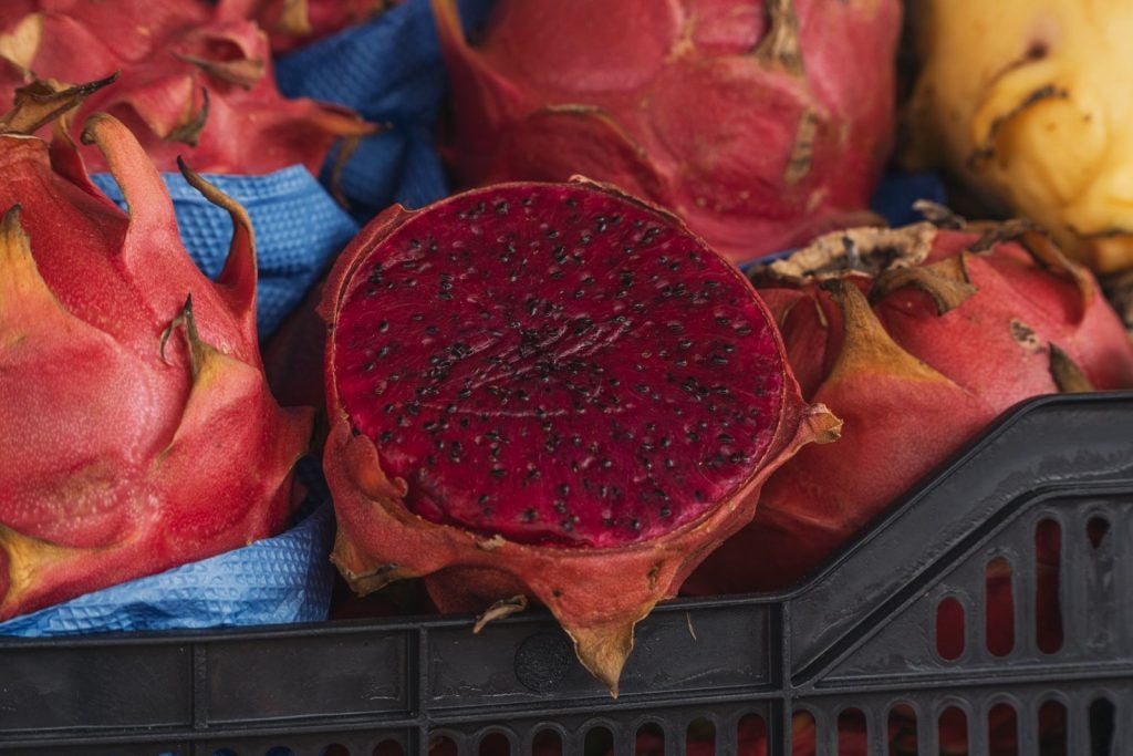 Whatsapp Image 2025 03 16 At 14.31.50 (1)