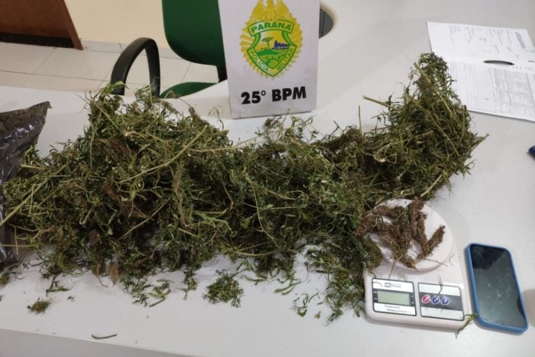 Maconha em Esperança Nova é encontrada na casa de jovem.