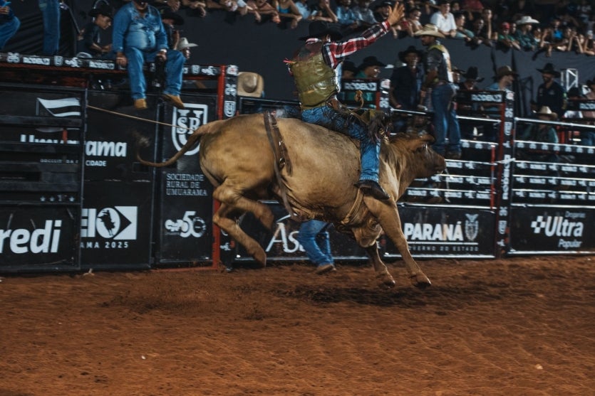 Whatsapp Image 2025 03 18 At 08.46.57 (1)