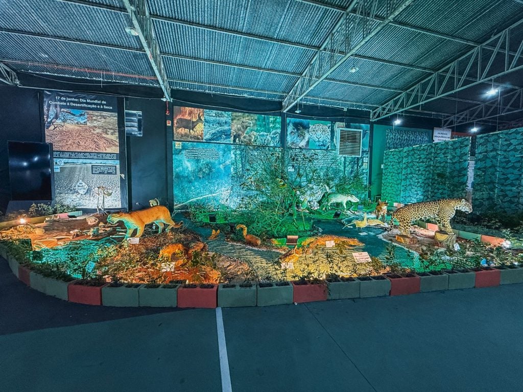 Whatsapp Image 2025 03 18 At 16.12.30