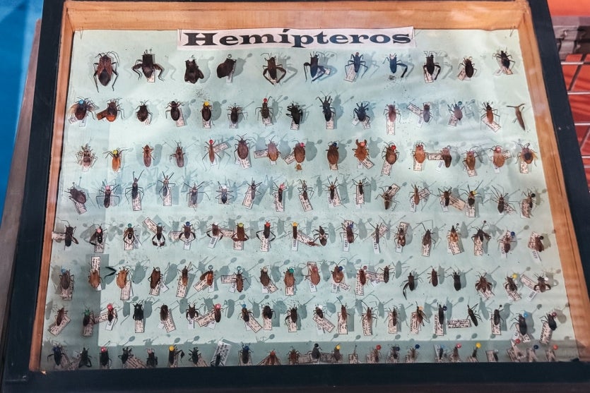 Whatsapp Image 2025 03 18 At 16.12.51