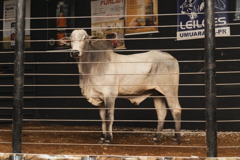 Whatsapp Image 2025 03 19 At 14.03.02 (2)