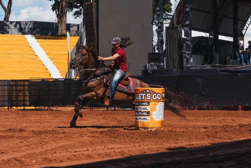 Whatsapp Image 2025 03 20 At 12.01.11