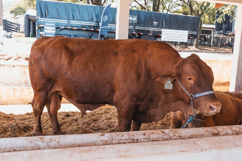 Whatsapp Image 2025 03 20 At 12.03.13 (1)