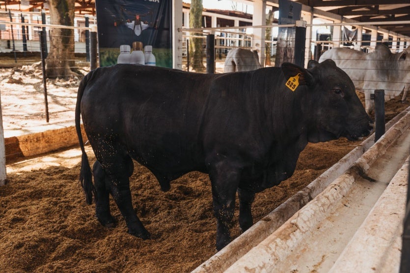 Whatsapp Image 2025 03 20 At 12.03.13