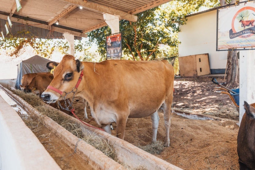 Whatsapp Image 2025 03 20 At 12.03.14 (2)