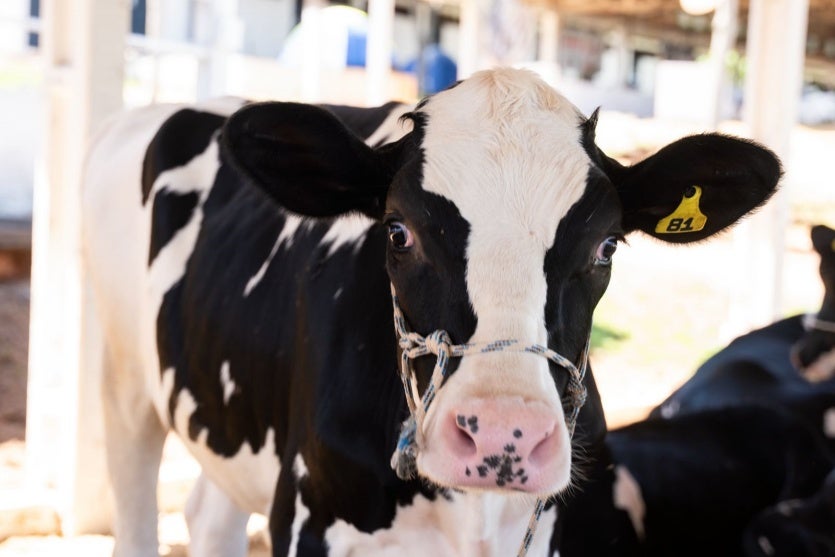 Whatsapp Image 2025 03 20 At 12.03.14 (3)