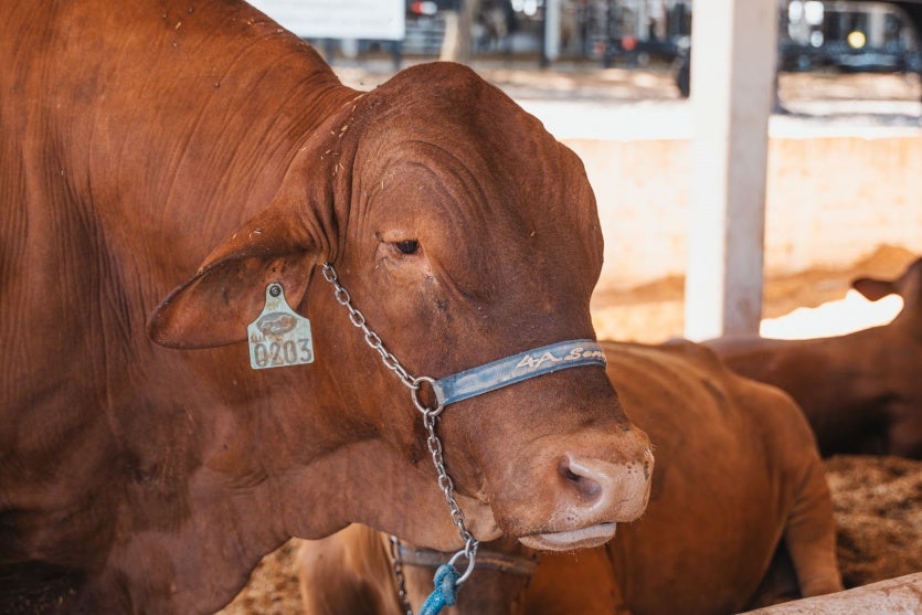 Whatsapp Image 2025 03 20 At 12.03.14