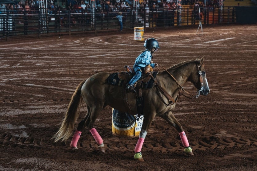 Whatsapp Image 2025 03 20 At 12.04.38