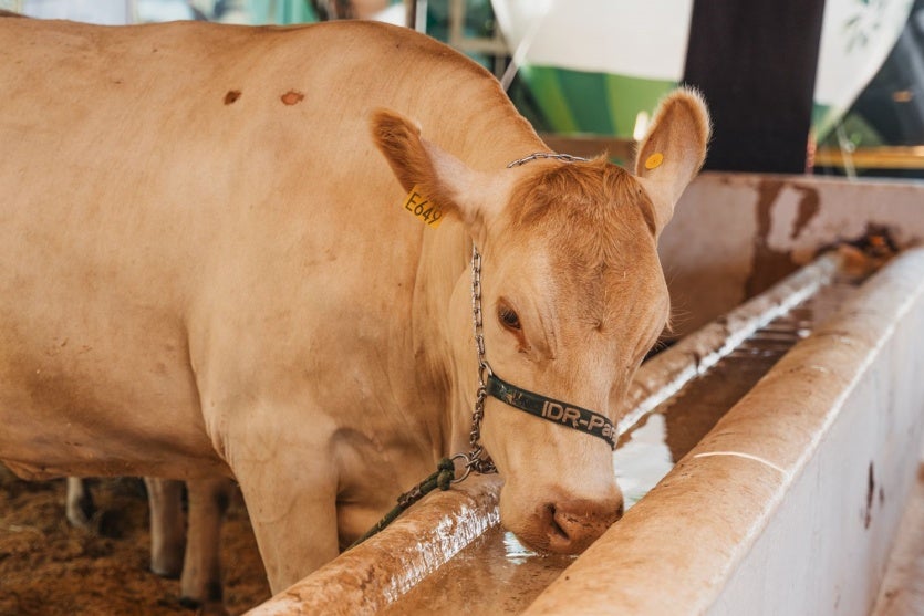 Whatsapp Image 2025 03 21 At 11.30.58 (2)