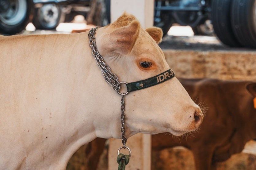 Whatsapp Image 2025 03 21 At 11.30.58